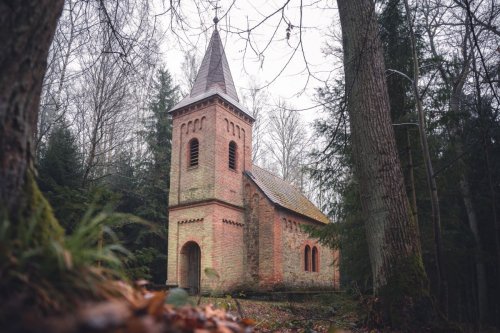 Kostel v lese